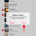 How to Bulk Delete Music on iPhone